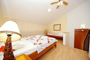 Dino - Gorgeous Garden - SA2 Jelsa