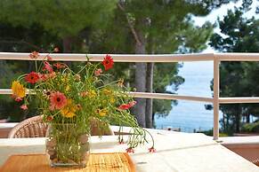 Dino - Gorgeous Garden - SA2 Jelsa