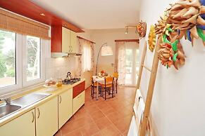 Dino - Gorgeous Garden - SA2 Jelsa