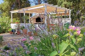 Dino - Gorgeous Garden - SA2 Jelsa