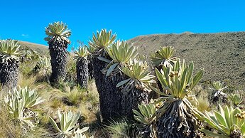 Espeletia Lodge