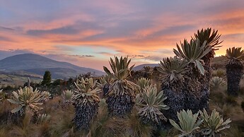 Espeletia Lodge