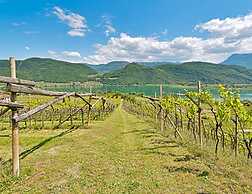 Residence zum Rössl