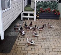 Luxury Rural Hottub Lodge in Northumberland