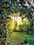 The Cattleya Guest House