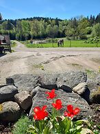 älgbergets b&b