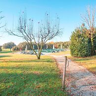 Experia Golf Loft - Italian Homing