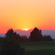 Experia Golf Loft - Italian Homing