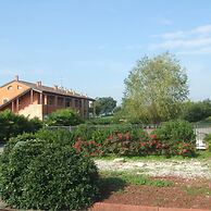 Experia Golf Loft - Italian Homing