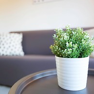 Experia Golf Loft - Italian Homing