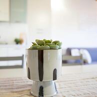 Experia Golf Loft - Italian Homing