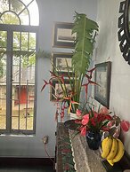 Mahogany Ridge Trinidad