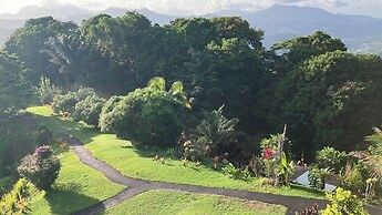 Mahogany Ridge Trinidad