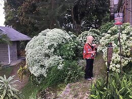 Mahogany Ridge Trinidad