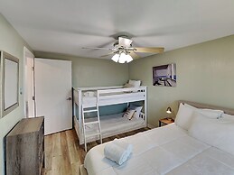 Rpd509- Palm Paradise