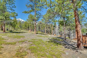 'mccall Creekside Cabin' Secluded Buena Vista Gem!