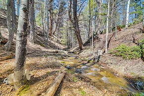 'mccall Creekside Cabin' Secluded Buena Vista Gem!