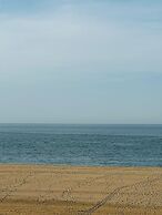 Airport Black Sea Hotel & Restaurant