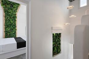 Maestro Villas Naxos