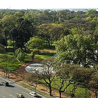 The Woods Charming 1 Bedroom in Palermo Chico