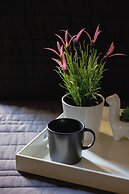 Apartment Near Old Town by Renters