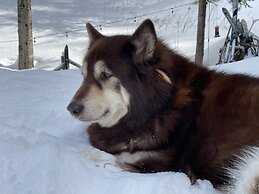 Grunberg Haus Inn & Cabins