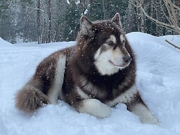 Grunberg Haus Inn & Cabins