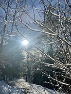 Grunberg Haus Inn & Cabins