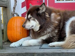 Grunberg Haus Inn & Cabins