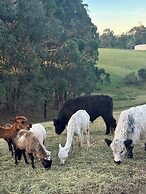 Blueberry Hills on Comleroy