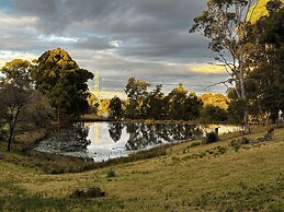 Blueberry Hills on Comleroy