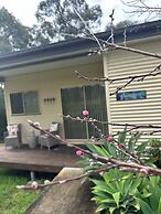 Blueberry Hills on Comleroy