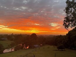 Blueberry Hills on Comleroy