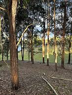 Blueberry Hills on Comleroy