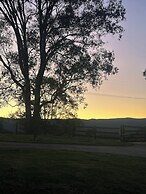 Blueberry Hills on Comleroy