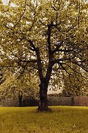 Green Hill Gdynia Orlowo