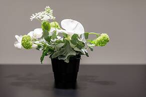 OLD TOWN SNAIL Design Apartments