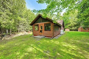 Cardinal Pines Cabin on 8 Acres - Dog Friendly!