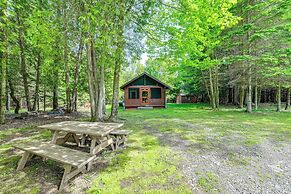 Cardinal Pines Cabin on 8 Acres - Dog Friendly!