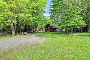 Cardinal Pines Cabin on 8 Acres - Dog Friendly!
