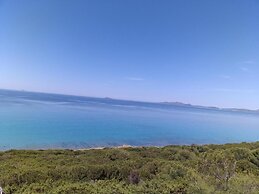 AFFITTACAMERE IL GIRASOLE