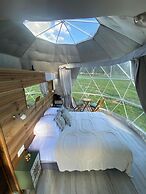 Berry Dome