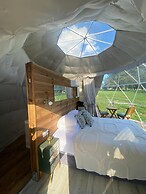 Berry Dome