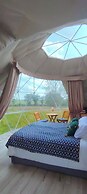 Berry Dome