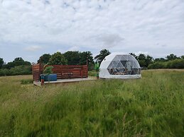 Berry Dome