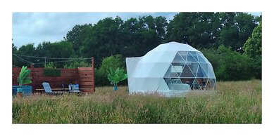 Berry Dome