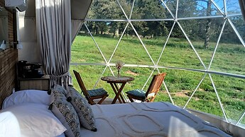 Berry Dome