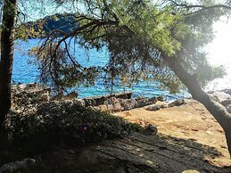 Fancy Apartments Dream