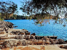 Fancy Apartments Dream