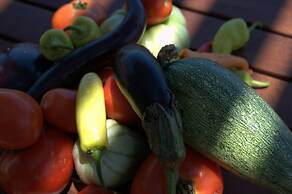 Elounda Solfez Villas